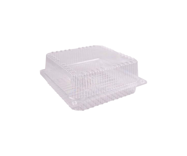 Blister Patipack 19x19x8