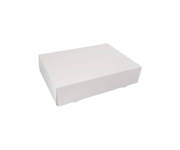 Cateringdoos 36x25x8 Wit