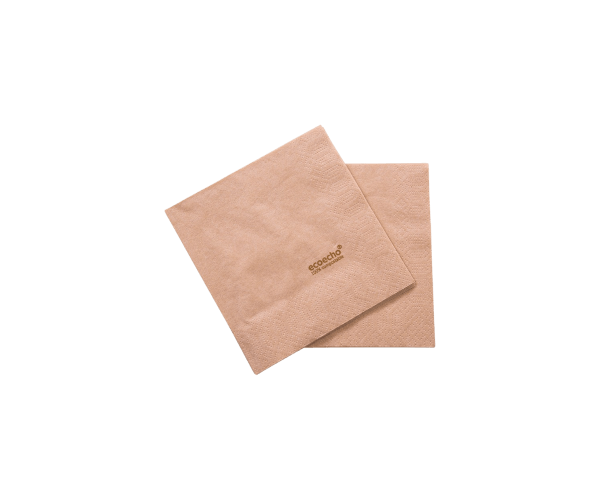 Servet 24x24 2-laags tissue eco-echo