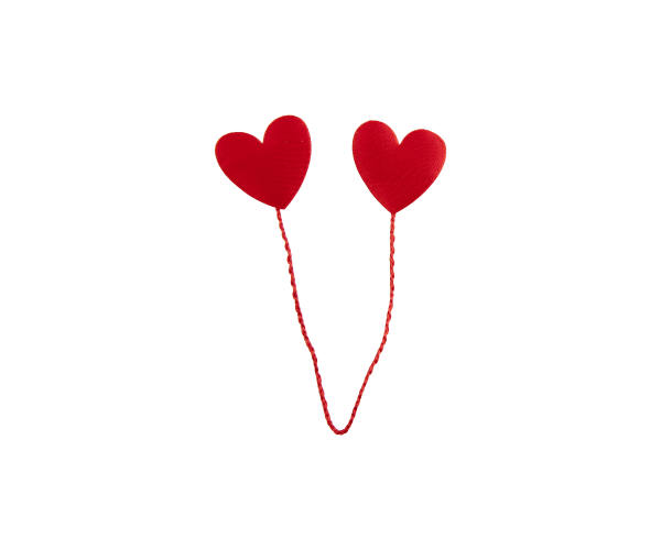 Corsage Hearts  on wire rood  (8.024901.65)