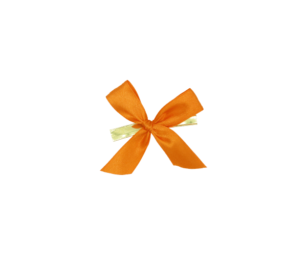 Strik met clip oranje (CBOW.15.34)