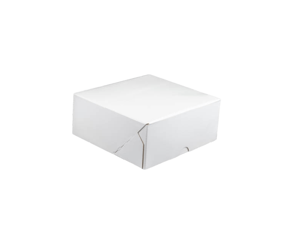 Gebaksvouwdoos 19x19x8cm Wit