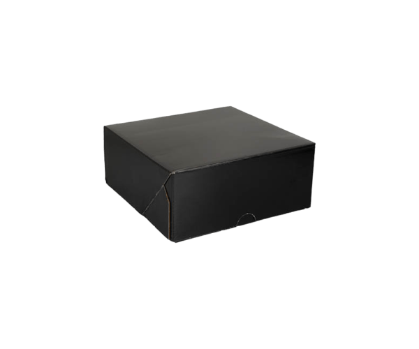 Gebaksvouwdoos 19x19x8cm Zwart