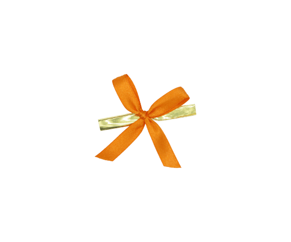 Strik met clip oranje (CBOW.10.34)