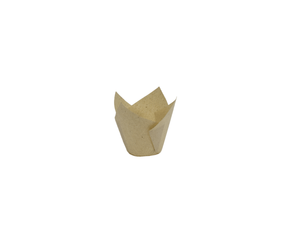 Caisse 150/50mm 'Tulp Medium' Grass