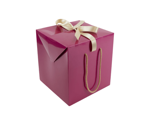 Cadeau box Cerise 21x21x23cm met koord